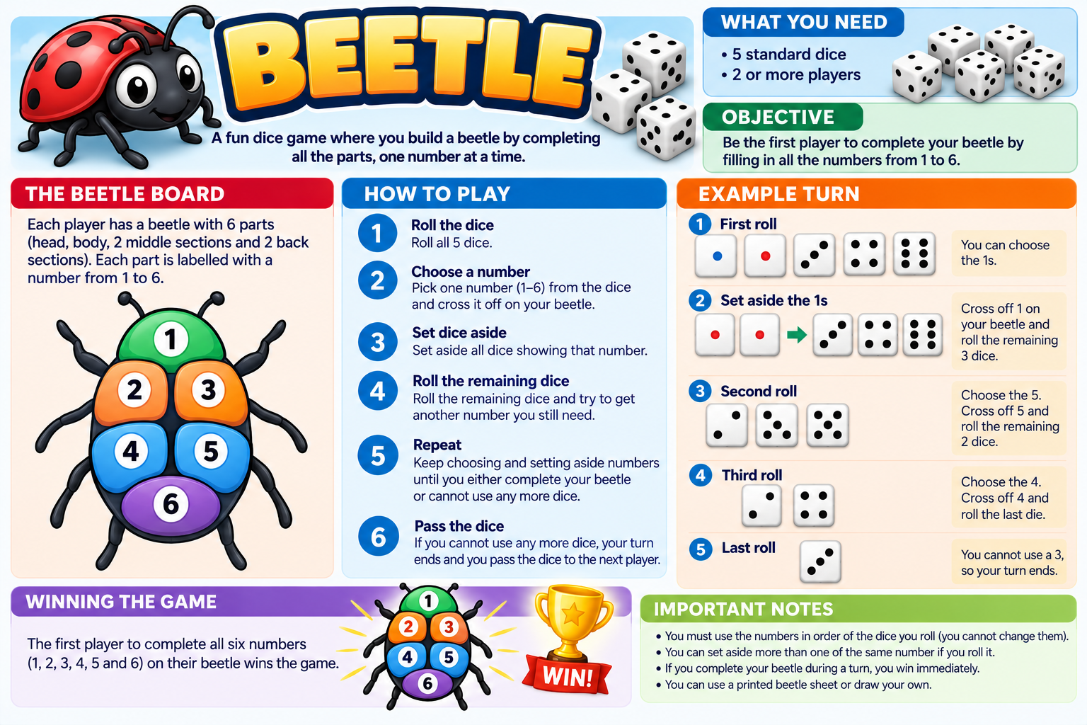 Beetle illustrated overview