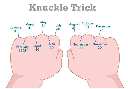 Knuckle trick showing January to December across two fists, with knuckles for 31-day months and dips for 30-day months, except February with 28 or 29 days.